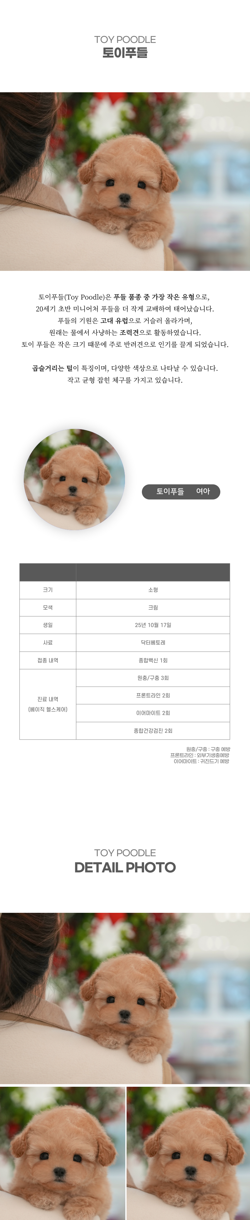 토이푸들_상세이미지_2